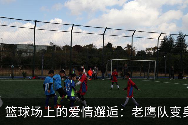 篮球场上的爱情邂逅：老鹰队变身“相亲局